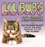 Lil Bub'S Lil Book - Preview