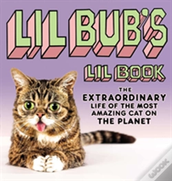 Capa do artigo Lil Bub'S Lil Book