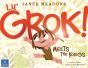 Lil' Grok Meets The Korgs - Preview