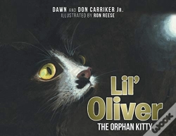 Capa do artigo Lil' Oliver The Orphan Kitty