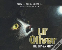 Capa do artigo Lil' Oliver The Orphan Kitty