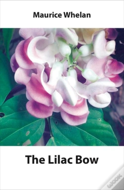 Capa do artigo Lilac Bow