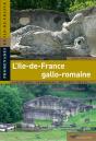L'Ile-De-France Gallo-Romaine - Preview