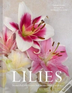 Capa do artigo Lilies