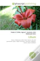 Lilium
