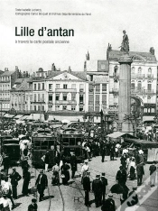 Capa do artigo Lille D