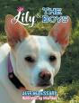 Lily And The Boys - Preview