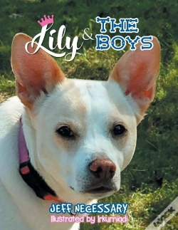 Capa do artigo Lily And The Boys