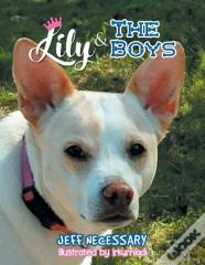 Lily And The Boys