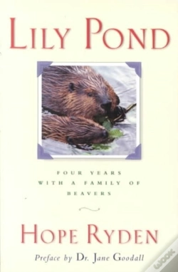 Capa do artigo Lily Pond