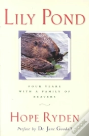Capa do artigo Lily Pond