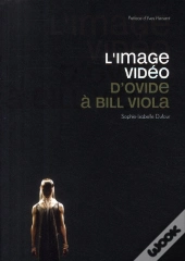 L'Image Vidéo ; D'Ovide À Bill Viola