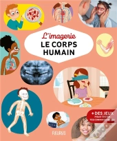 L'Imagerie : Le Corps Humain