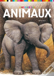 Capa do artigo L
