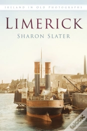 Capa do artigo Limerick