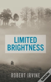 Capa do artigo Limited Brightness