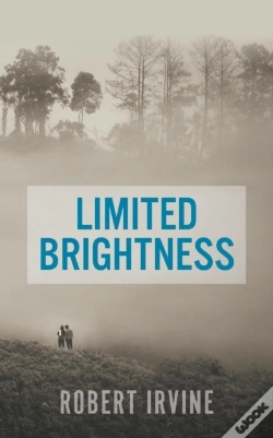 Capa do artigo Limited Brightness