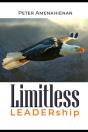 Limitless Leadership - Preview