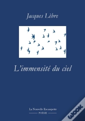 L'Immensité Du Ciel