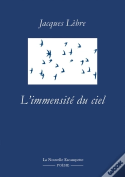 Capa do artigo L'Immensité Du Ciel