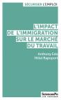 L'Impact De L'Immigration Sur Le Marché Du Travail - Preview