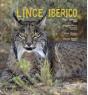 Lince-Ibérico - Preview