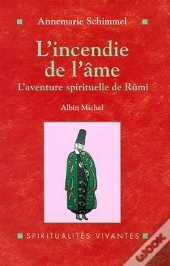 L'Incendie De L'Âme : L'Aventure Spirituelle De Rûmî
