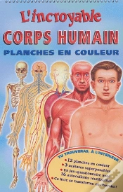 Capa do artigo L
