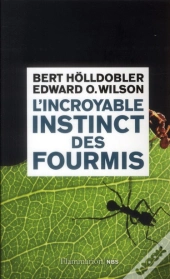 L'Incroyable Instinct Des Fourmis