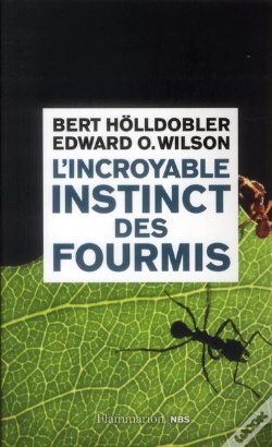 Capa do artigo L'Incroyable Instinct Des Fourmis