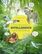 L'Incroyable Intelligence Des Animaux - Preview