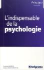 L'Indispensable De Psychologie - Preview