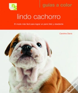 Capa do artigo Lindo Cachorro