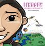 Lindsey The Gis Professional - Preview
