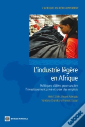 L'Industrie Legere En Afrique