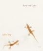 Line And Light - Preview