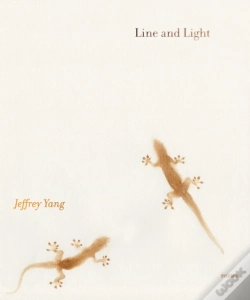 Capa do artigo Line And Light