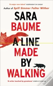 Capa do artigo Line Made By Walking