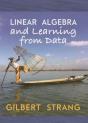 Linear Algebra And Learning From Data - Preview