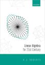Linear Algebra For The 21st Century - Preview