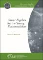 Linear Algebra For The Young Mathematician - Preview