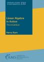 Linear Algebra In Action - Preview