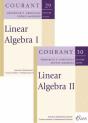 Linear Algebra (Volumes I And Ii) - Preview
