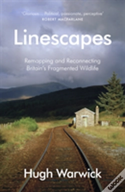 Capa do artigo Linescapes