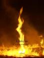 L'Inferno - Preview