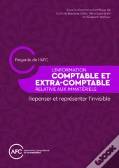 L'Information Comptable Et Extra-Comptable Relative Aux Immatériels : Repenser Et Représenter L'Invisible