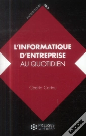 L'Informatique D'Entreprise Au Quotidien