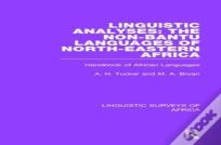 Linguistic Analyses: The Non-Bantu Languages Of North-Eastern Africa