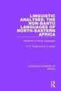 Linguistic Analyses: The Non-Bantu Languages Of North-Eastern Africa - Preview