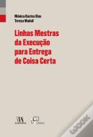 Linhas Mestras da Execução para Entrega de Coisa Certa